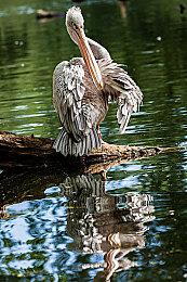 Windows 12最早或于2024年推出 每3年更新换代